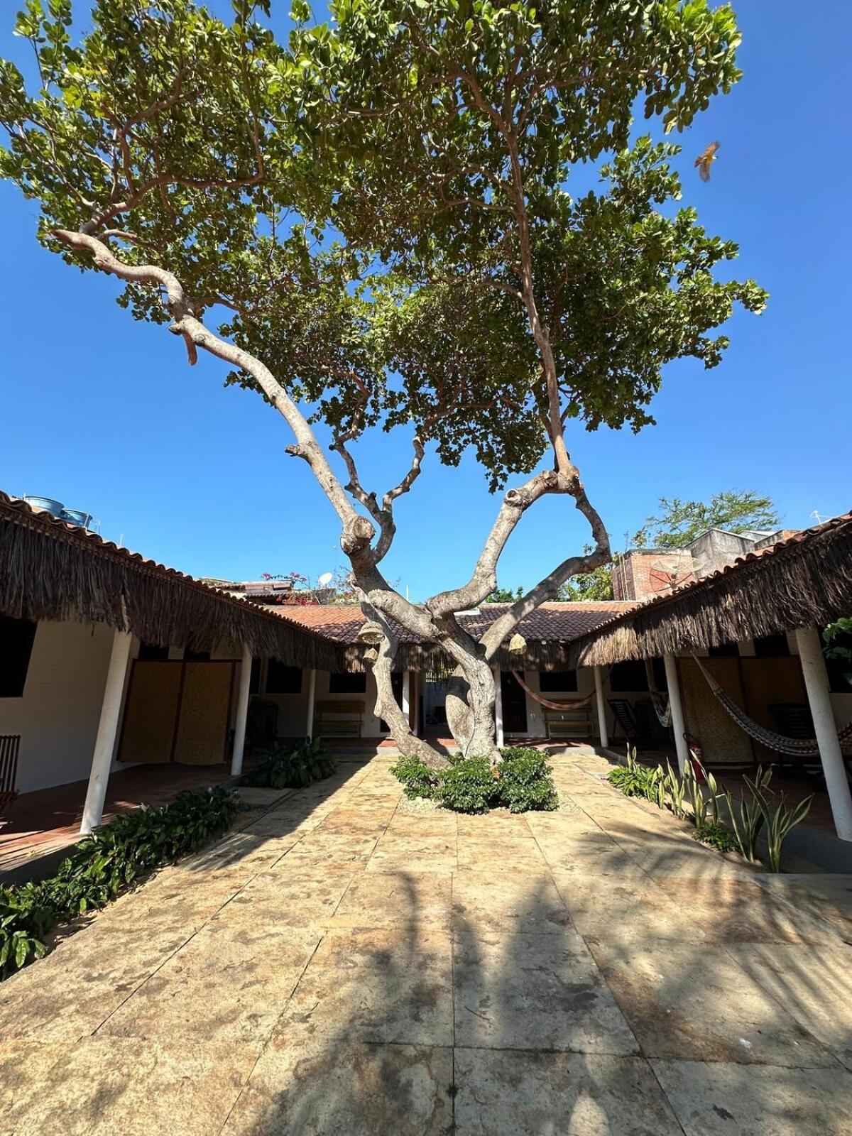 Vila Lua Aparts - Apartamento 1 Jijoca de Jericoacoara Exterior foto
